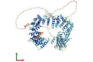 Protein Structure (PS) image for Adaptor-Related Protein Complex 4, epsilon 1 Subunit (AP4E1) (AA 1-1122) protein (His tag) (ABIN7564269)