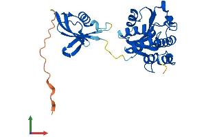 AlphaFold protein structure predicition of Mouse Recombinant Isoc1 Protein, UniprotID Q91V64
