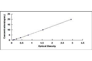 Typical standard curve (SYTL2 ELISA 试剂盒)