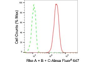 Flow cytometric analysis of Rho A + B + C expression in C2C12 cells using Rho A + B + C antibody (ABIN7800208), 1:2,000). (Recombinant RhoA,B,C 抗体)