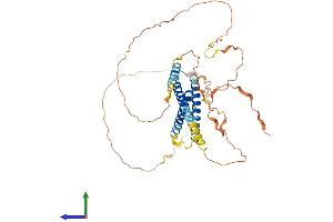 Protein Structure (PS) image for Chromosome 19 Open Reading Frame 46 (C19orf46) (AA 1-404) protein (His tag) (ABIN7555687)