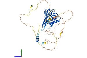 AlphaFold protein structure predicition of Mouse Recombinant Hs1bp3 Protein, UniprotID Q3TC93