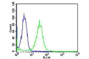 Flow cytometric analysis of Hela cells using FK Antibody (green, Cat(ABIN1944786 and ABIN2838527)) compared to an isotype control of mouse IgG1(blue). (MAFK 抗体)