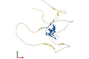Protein Structure (PS) image for Forkhead Box L1 (FOXL1) (AA 1-336) protein (His tag) (ABIN7557856)