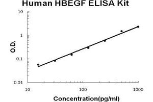 Human HBEGF PicoKine ELISA Kit standard curve (HBEGF ELISA 试剂盒)