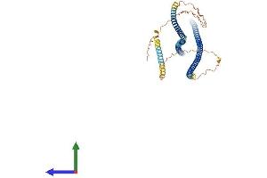Protein Structure (PS) image for Internexin Neuronal Intermediate Filament Protein, alpha (INA) (AA 1-499) protein (His tag) (ABIN7551964)