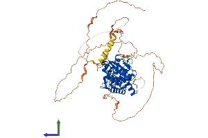 AlphaFold protein structure predicition of Human Recombinant SENP3 Protein, UniprotID Q9H4L4