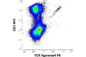 Flow cytometry multicolor surface staining pattern of human lymphocytes stained using anti-human TCR Vgamma4 (4A11. (TCR Vgamma4 抗体 (PE))
