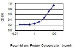 Detection limit for recombinant GST tagged TMEM179B is 0. (TMEM179B 抗体  (AA 1-219))