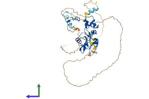 AlphaFold protein structure predicition of Mouse Recombinant Socs4 Protein, UniprotID Q91ZA6 (SOCS4 Protein (AA 1-436) (His tag))