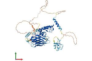 Protein Structure (PS) image for U-Box Domain Containing 5 (UBOX5) (AA 1-539) protein (His tag) (ABIN7560273)