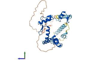 Protein Structure (PS) image for Zinc Finger Protein 75A (ZNF75A) (AA 1-296) protein (His tag) (ABIN7545397)