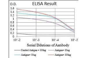 ELISA image for anti-Cyclin E1 (CCNE1) (AA 307-410) antibody (ABIN2682980)