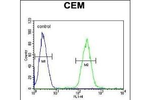 STBPL1 Antibody (Center) (ABIN651519 and ABIN2840275) flow cytometric analysis of CEM cells (right histogr) compared to a negative control cell (left histogr). (STAMBPL1 抗体  (AA 135-163))