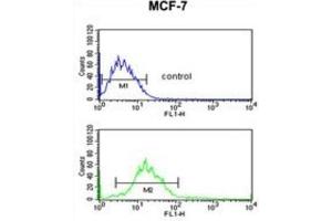 Flow Cytometry (FACS) image for anti-Endonuclease G (ENDOG) antibody (ABIN3002690) (Endonuclease G 抗体)