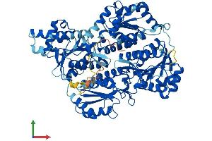 Protein Structure (PS) image for phosphofructokinase, Platelet (PFKP) (AA 1-784) protein (His tag) (ABIN7556270)