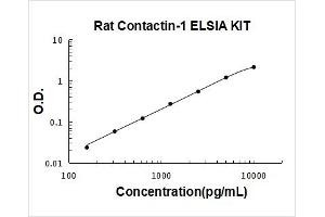 Contactin 1 (CNTN1) ELISA Kit
