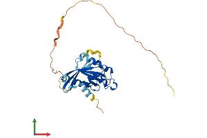 Protein Structure (PS) image for RAB26, Member RAS Oncogene Family (RAB26) (AA 1-260) protein (His tag) (ABIN7557402)