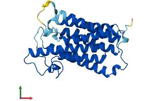 Protein Structure (PS) image for Steroid-5-alpha-Reductase, alpha Polypeptide 2 (3-Oxo-5 alpha-Steroid delta 4-Dehydrogenase alpha 2) (SRD5A2) (AA 1-254) protein (His tag) (ABIN7551656)