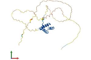 Protein Structure (PS) image for VENT Homeobox (VENTX) (AA 1-258) protein (His tag) (ABIN7545028)
