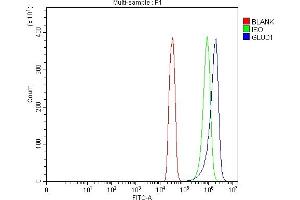 Flow Cytometry analysis of SiHa cells using anti-GLUD1/2 antibody (ABIN7602000). (GLUD1 / GLUD2 (AA 54-553) 抗体)