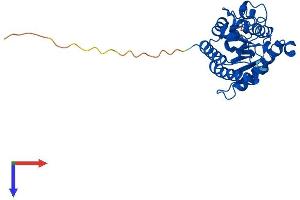 Protein Structure (PS) image for Single-Strand-Selective Monofunctional Uracil-DNA Glycosylase 1 (SMUG1) (AA 1-279) protein (His tag) (ABIN7557995)