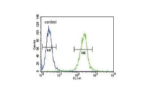SPINK5 Antibody (N-term) (ABIN390855 and ABIN2841077) flow cytometric analysis of  cells (right histogram) compared to a negative control cell (left histogram). (SPINK5 抗体  (N-Term))