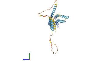 Protein Structure (PS) image for Gap Junction Protein, alpha 4, 37kDa (GJA4) (AA 1-333) protein (His tag) (ABIN7546941)