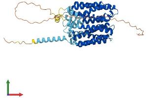 AlphaFold protein structure predicition of Human Recombinant FLVCR2 Protein, UniprotID Q9UPI3