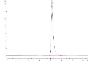 Size-exclusion chromatography-High Pressure Liquid Chromatography (SEC-HPLC) image for Secreted and Transmembrane 1 (SECTM1) (AA 29-145) protein (Fc Tag) (ABIN7275555)