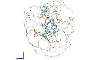 Protein Structure (PS) image for PR Domain Containing 16 (PRDM16) (AA 1-1276) protein (His tag) (ABIN7555081)