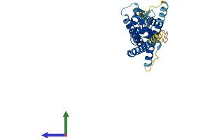 Protein Structure (PS) image for ARV1 Homolog (ARV1) (AA 1-271) protein (His tag) (ABIN7552341)
