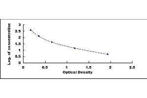 Typical standard curve (COL18A1 ELISA 试剂盒)