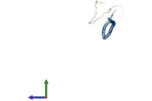 Protein Structure (PS) image for Arginine and Glutamate Rich 1 (ARGLU1) (AA 1-271) protein (His tag) (ABIN7557218)