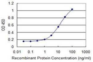 Detection limit for recombinant GST tagged PPHLN1 is 0. (PPHLN1 抗体  (AA 168-258))