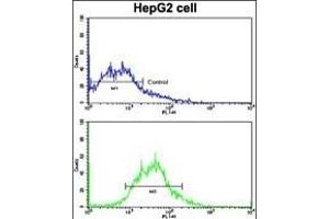Flow cytometric analysis of HepG2 cells using AD Antibody (N-term) (bottom histogram) compared to a negative control cell (top histogram).
