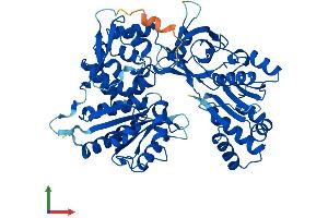 Protein Structure (PS) image for NADPH Dependent Diflavin Oxidoreductase 1 (NDOR1) (AA 1-598) protein (His tag) (ABIN7561914)