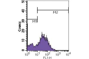 Flow Cytometry (FACS) image for anti-CD7 (CD7) antibody (FITC) (ABIN2144473) (CD7 抗体  (FITC))