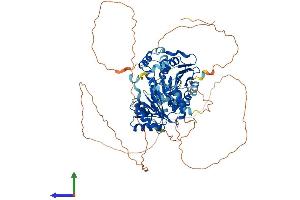 Protein Structure (PS) image for DEAD Box Protein 4 (DDX4) (AA 1-724) protein (His tag) (ABIN7553626)