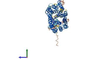 Protein Structure (PS) image for Solute Carrier Family 46 Member 2 (SLC46A2) (AA 1-475) protein (His tag) (ABIN7544832)
