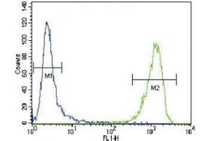 Alpha Actin antibody flow cytometric analysis of CEM cells (green) compared (Actin 抗体  (AA 346-375))