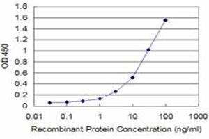 ELISA image for anti-Progestagen-Associated Endometrial Protein (PAEP) (AA 53-162) antibody (ABIN518585)