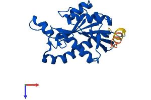 AlphaFold protein structure predicition of Mouse Recombinant Ptrh1 Protein, UniprotID Q8BW00