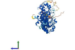 Protein Structure (PS) image for Ankyrin Repeat and SOCS Box Containing 14 (ASB14) (AA 1-587) protein (His tag) (ABIN7559176)