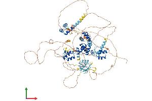 Protein Structure (PS) image for Zinc Fingers and Homeoboxes 3 (ZHX3) (AA 1-956) protein (His tag) (ABIN7556114)