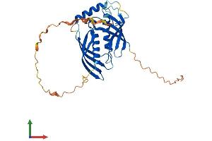 Protein Structure (PS) image for Retinoic Acid Receptor Responder (Tazarotene Induced) 1 (RARRES1) (AA 1-294) protein (His tag) (ABIN7544378)