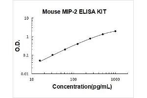 Mouse MIP-2 PicoKine ELISA Kit standard curve