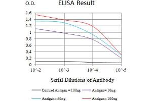 Black line: Control Antigen (100 ng),Purple line: Antigen (10 ng), Blue line: Antigen (50 ng), Red line:Antigen (100 ng) (ENPP3 抗体  (AA 45-163))