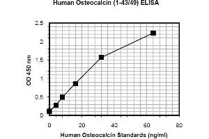 ELISA image for Osteocalcin (BGLAP) ELISA Kit (ABIN1305168) (Osteocalcin ELISA 试剂盒)