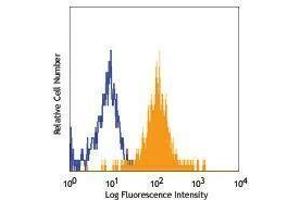 Flow Cytometry (FACS) image for anti-Activated Leukocyte Cell Adhesion Molecule (ALCAM) antibody (PE) (ABIN2663086) (CD166 抗体  (PE))